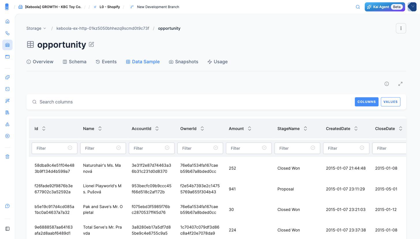 Screenshot - Table detail with data sample